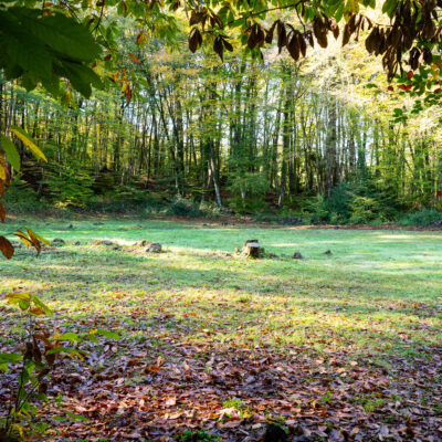 Photo d'Art paysage OLOT